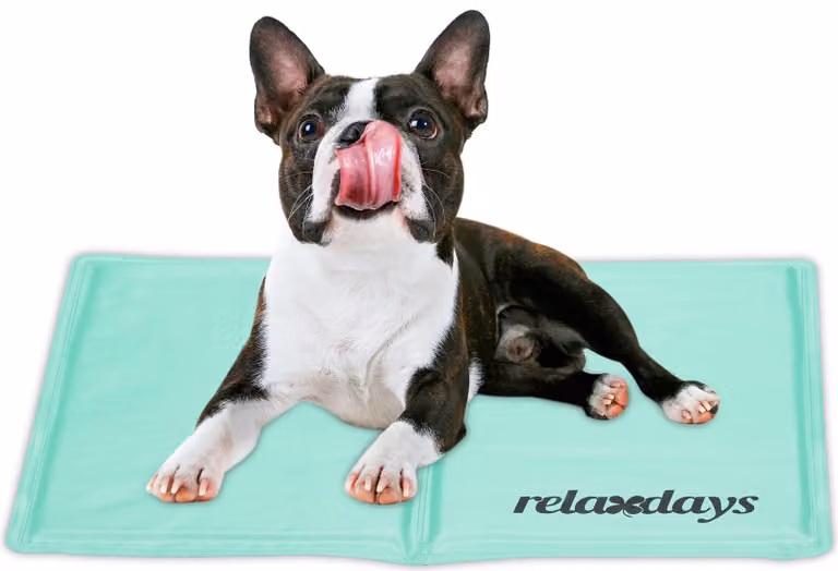 relaxdays Tappeto refrigerante turchese per cani