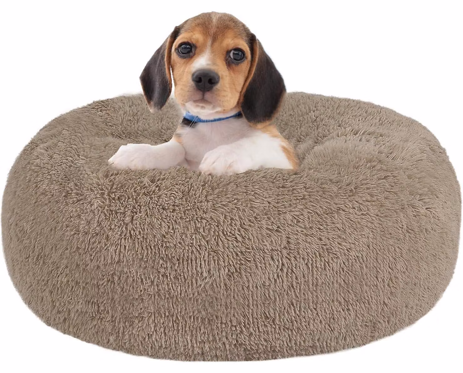 Cuccia ortopedica per cani, forma circolare, diametro 60 cm, color cammello
