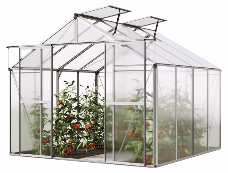 GFP Serra Orchidee 4 costruzione in alluminio 256 x 256 cm lastre di policarbonato