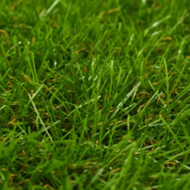 Erba Artificiale 1x15 m/40 mm Verde 148832