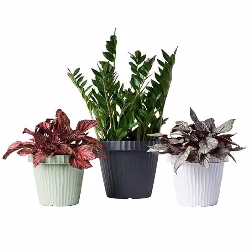 Bama Vaso da fiori Onda in plastica, 3,3 l, colore: grigio grafite