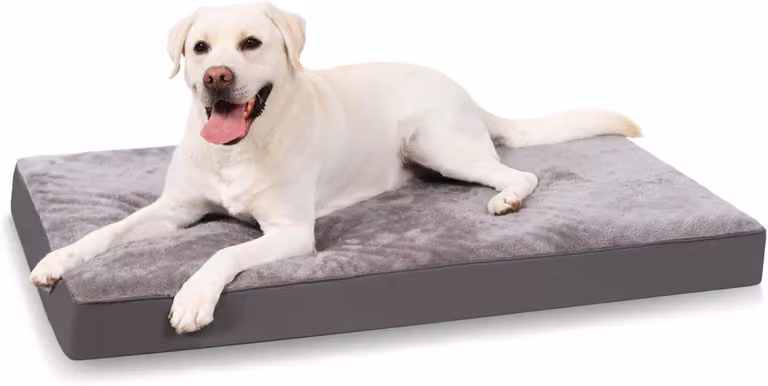 Cuccia per cani di grandi dimensioni, ortopedica, 111 x 81 x 9 cm, con rivestimento removibile, base antiscivolo, colore grigio, adatta a cani di grossa taglia