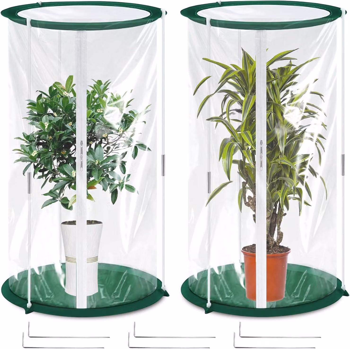 Mini serra, 50 x 30 cm, confezione da 2, in PVC trasparente, per piante
