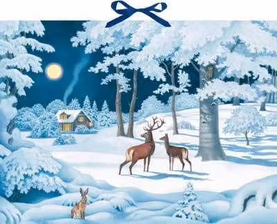 Calendario dell'Avvento da parete - Animali invernali di notte