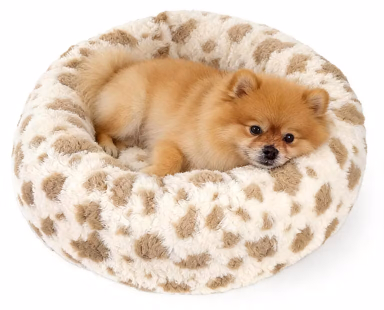 Solidchoice - Cuccia a forma di ciambella per cani di piccola e media taglia, confortevole e lavabile, color crema (taglia XS)