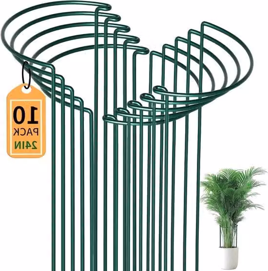 10 pezzi di sostegno per piante a forma semicircolare in acciaio antracite - 60 cm di altezza - 30 cm di diametro, supporto per piante fermo con filo di acciaio di 5 mm - per piovanze, fiori e piante di bosco