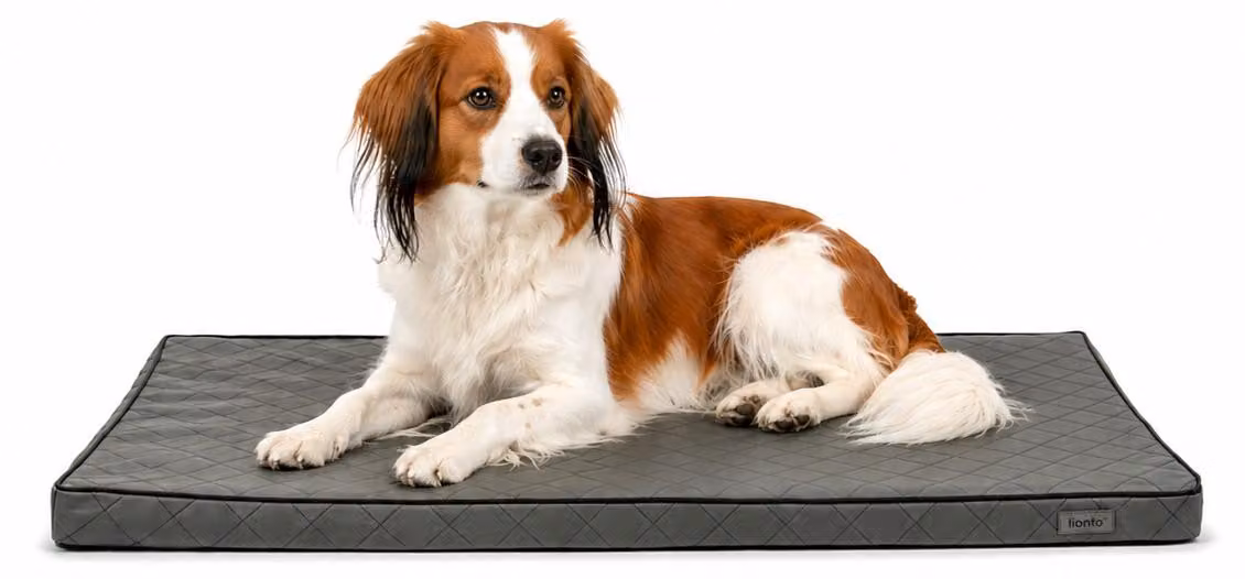 tappeto ortopedico per cani lionto, superficie di sdraio in memory foam che allevia la pressione, fondo antiscivolo e rivestimento sfoderabile, 80x55 cm, grigio
