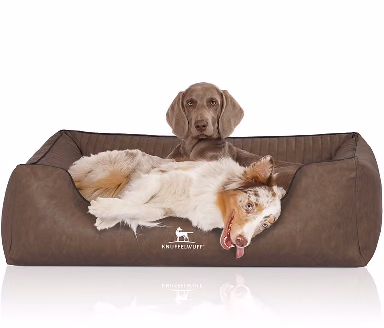 Cuccia ortopedica per cani Chesapeake in Pelle finta marmorizzata trapuntata al laser XXL marrone