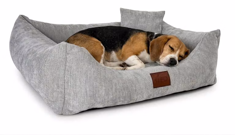 Cuccia per cani con coperture removibili, disponibile in 4 misure e 3 colori