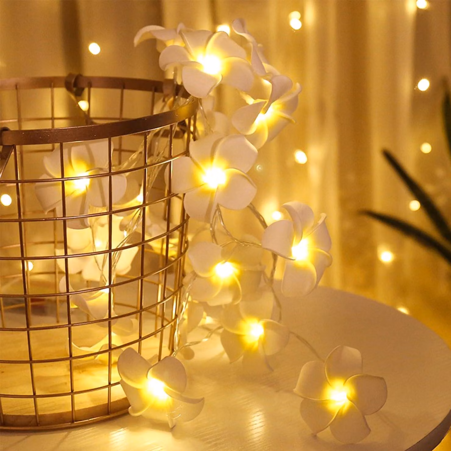 Catena luminosa a forma di fiori di Plumeria, lunghezza 1,5 metri, 10 LED, motivo Frangipani, alimentazione a batteria