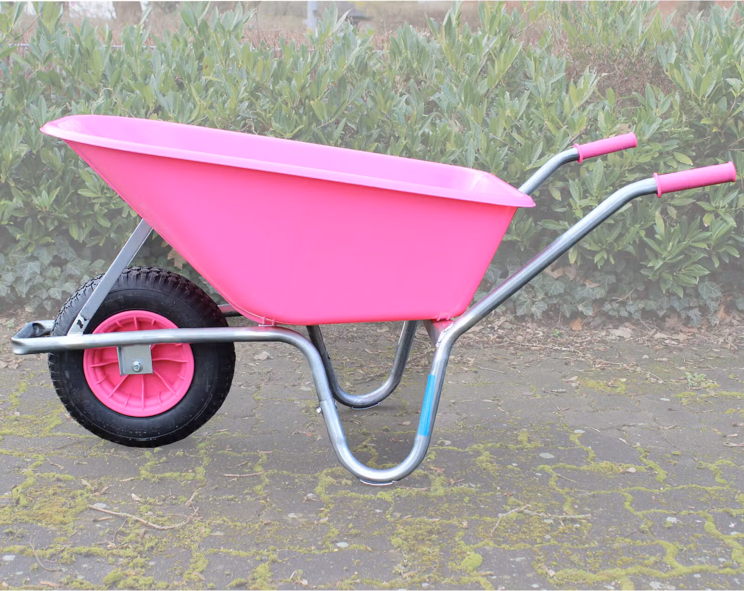 TRUTZHOLM carriola ROSA/PINK PP100 l capacità 250 kg