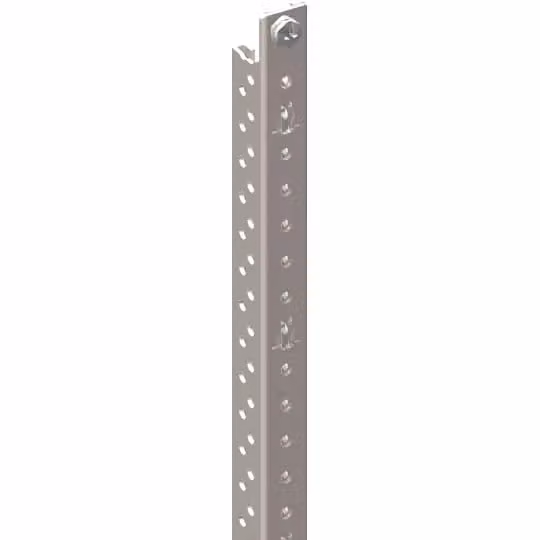 Striebel e John EDM9 Guida profilata EDF 3RE (450 mm) verticale, montata nell'armadio 2CPX041457R9999