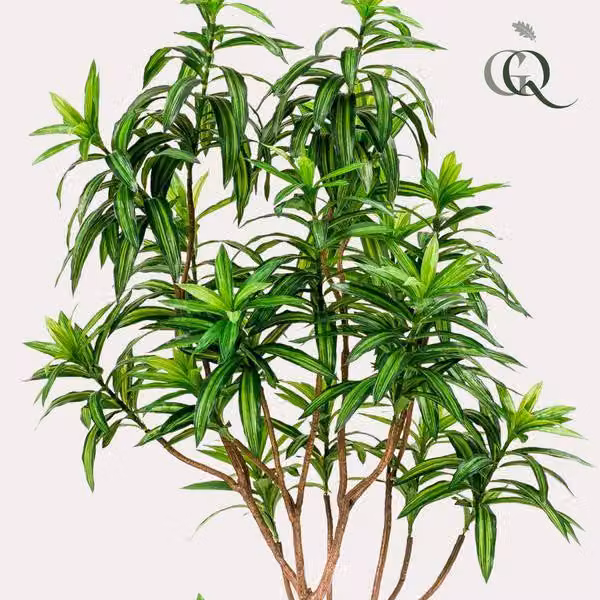 Pianta artificiale Dracaena Ø190cm - pianta verde artificiale per soggiorno