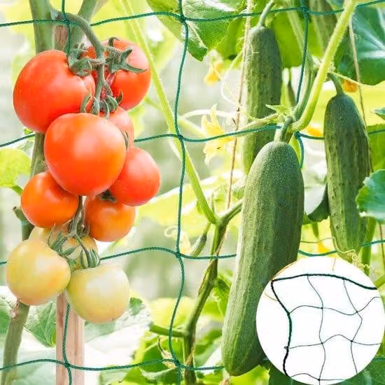 rete per piante rampicanti - 180x360 cm - Rete per piante rampicanti - maglia 10x10 cm - Rete guida per la crescita delle piante rampicanti - Rete per piante da giardino - Griglia di supporto per piante - Rete per piante - piante rampicanti - Rete per pia