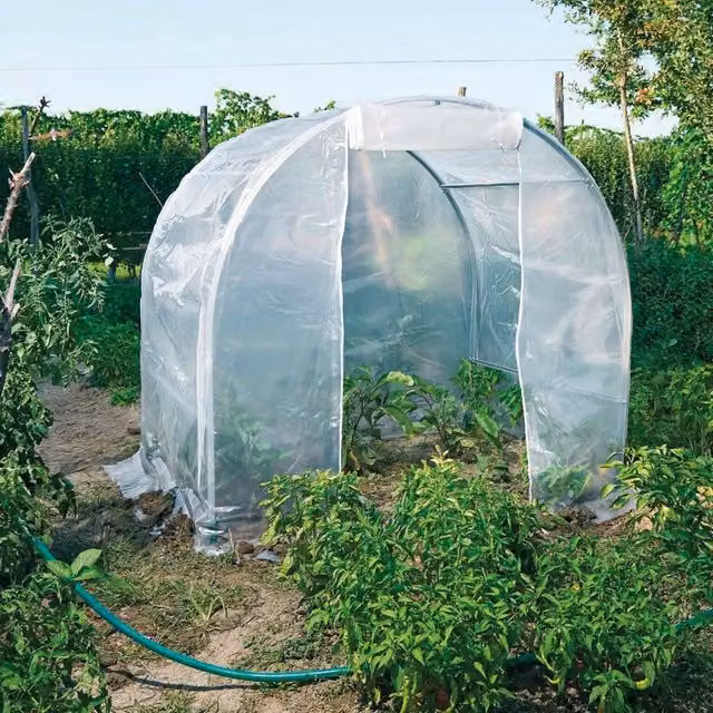 Serra da giardino VERDEMAX Tunnel Spring Miny con struttura in acciaio zincato e copertura trasparente, L 200 cm x P 150 cm x H 175 cm