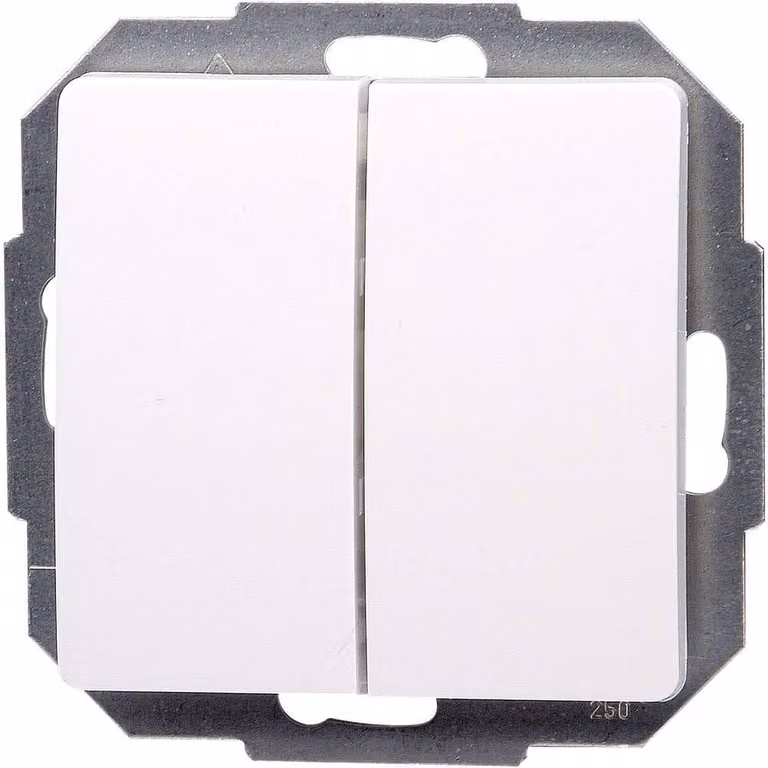 Interruttore bipolare, grado di protezione IP20, colore bianco artico, 250V, 10A, 2 vie, materiale plastico, confezione da 1 pezzo.