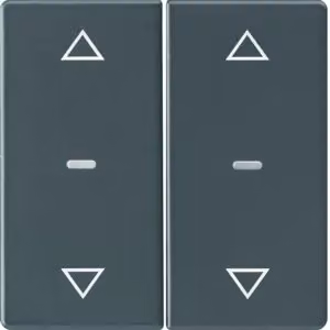 Berker KNX Q.X ABD.2F.ANTHRAZIT SAMT (80961326 PFEILE 2F.)