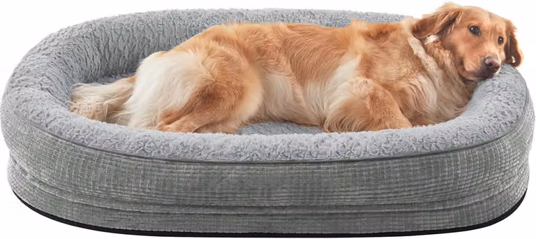 Cuccia ortopedica per cani di grossa taglia, con cuscino a supporto del collo su quattro lati, cuccia a forma di grotta, taglia XXL, divano per cani in memory foam, impermeabile