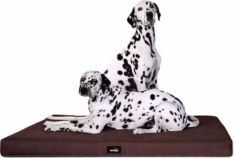 tierlando® Materasso ortopedico per cani ALICE VISCO Tappeto per cani Letto per cani S - XXL - Dimensioni: 80x60cm | Colore: 01 Brown