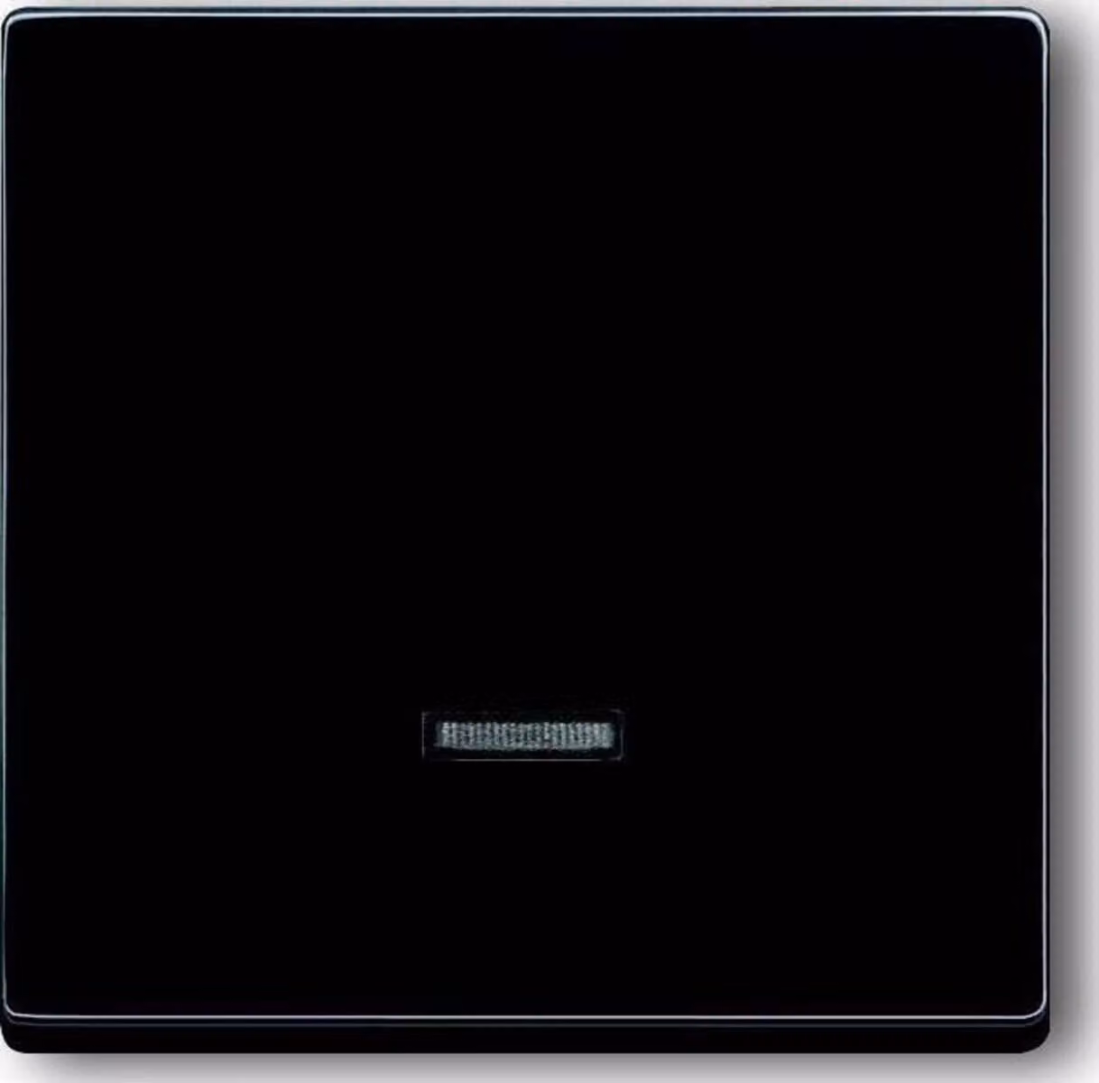 Elemento di comando Busch-Jaeger Pulsante Mem 6543-81-101