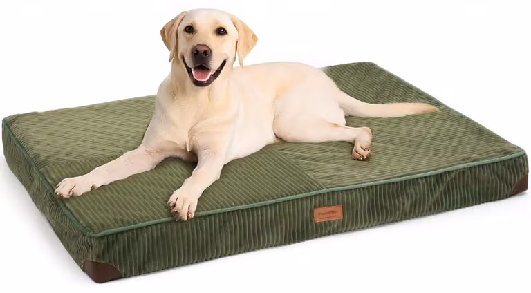 Cuccia ortopedica per cani con rivestimento lavabile e base impermeabile