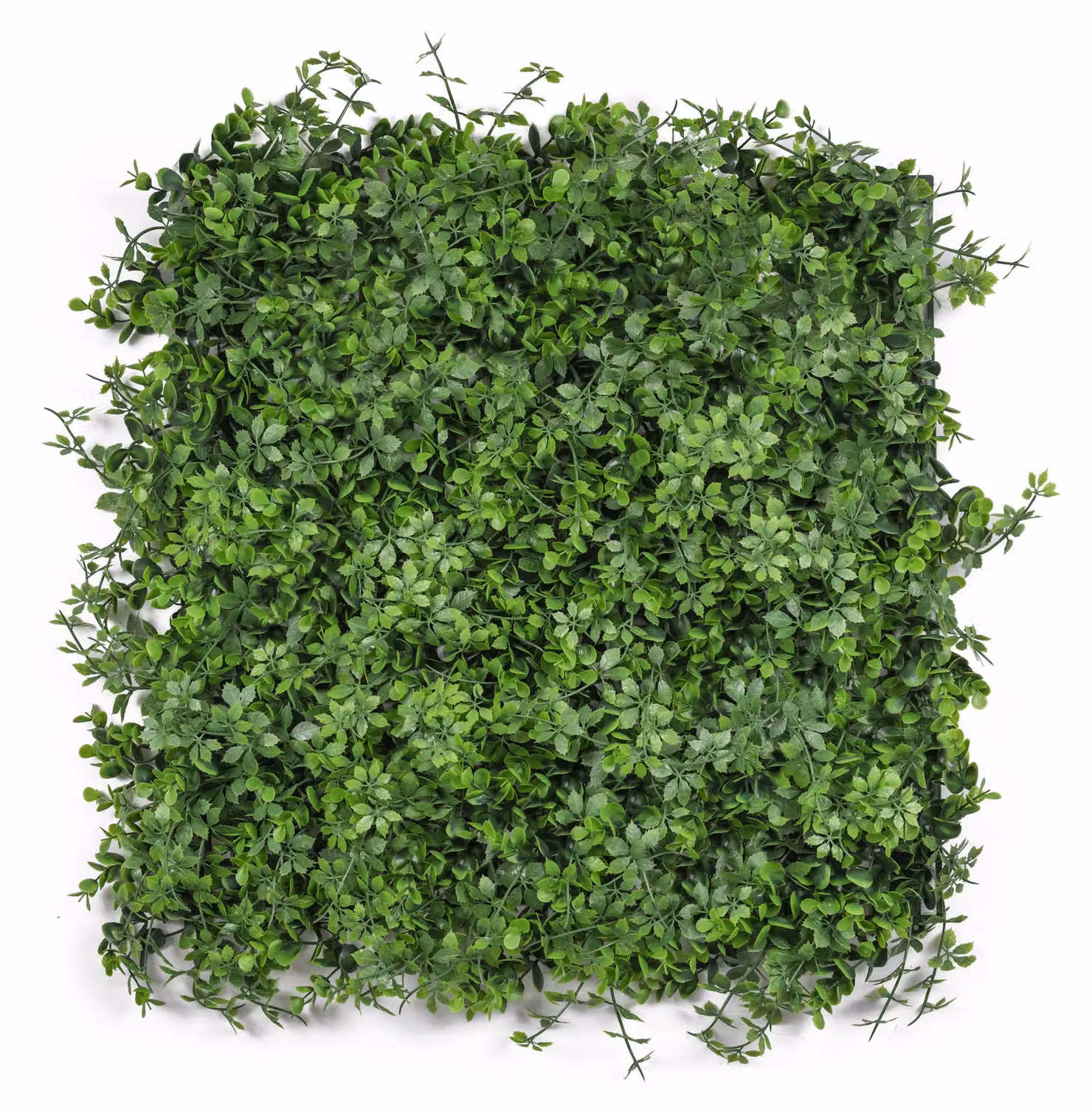 Parete verde artificiale G21 Listo Berry, 50x50 cm