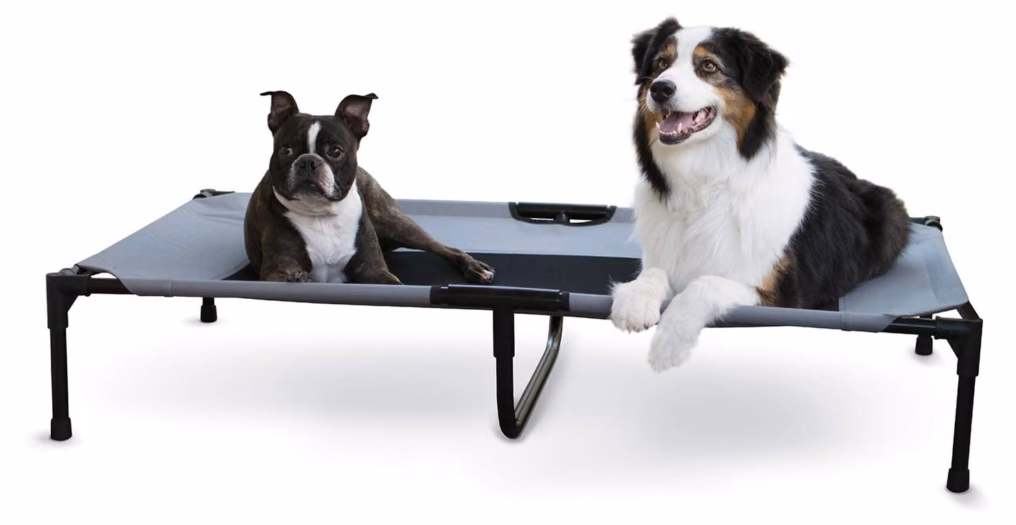 K&H Pet Products: Cuccia rialzata per cani, adatta per l'esterno, traspirante e rinfrescante