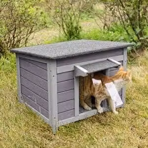 Cuccia per cani, cuccia per gatti, adatta sia per interni che per esterni, con tetto impermeabile, ideale anche per altri piccoli animali