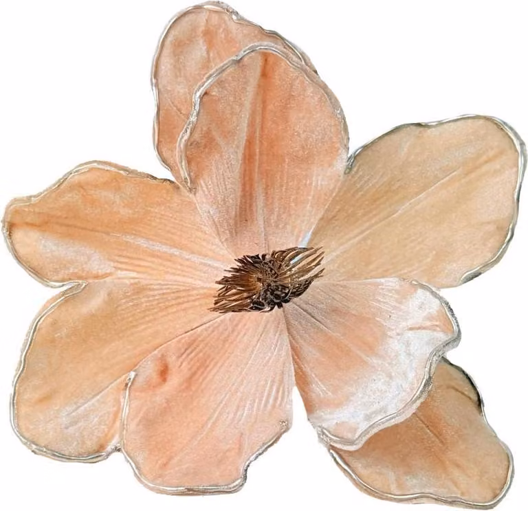 Fiori per l'albero di Natale - Magnolia champagne su spiga H 27 cm Fi 22 cm