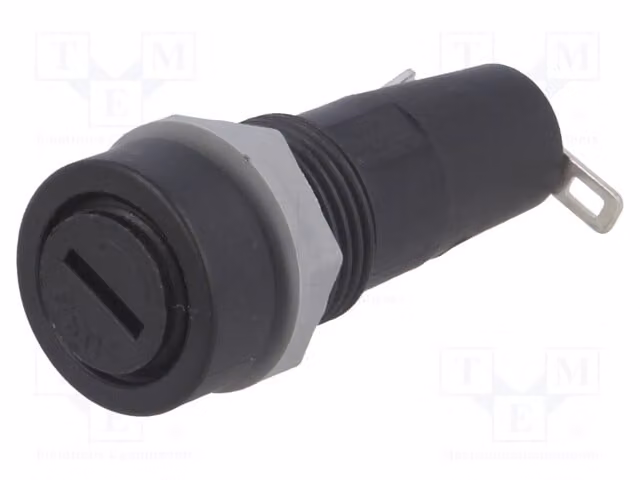 1 fusibile cilindrico da 5x20 mm, 10A, per scatole di fusibili a montaggio su guida DIN PTF/35