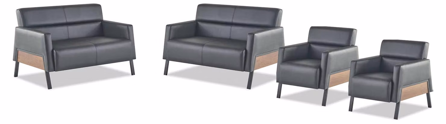 Sitzmöbel Leder Set Ledersofa 2-Sitzer Sessel Modern Schwarz Edelstahl