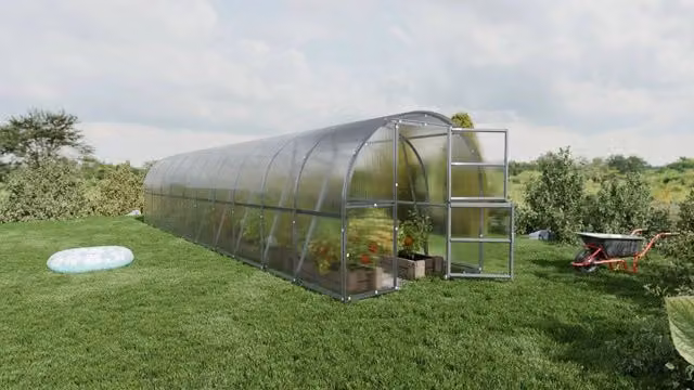 Serra da giardino KLASIKA BALTIC LT con rivestimento in policarbonato trasparente, L: 12 m, P: 3 m