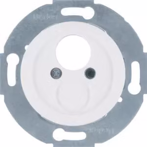 Berker 450820 Inserto per connettori miniaturizzati con elemento centrale bianco polo, lucido 1930/Vetro/Palazz
