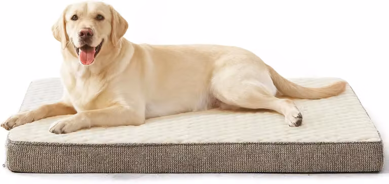 Cuccia ortopedica per cani di grossa taglia, taglia XL, lavabile e morbida. Materassino per cani di grossa taglia, con base antiscivolo, dimensioni 104 x