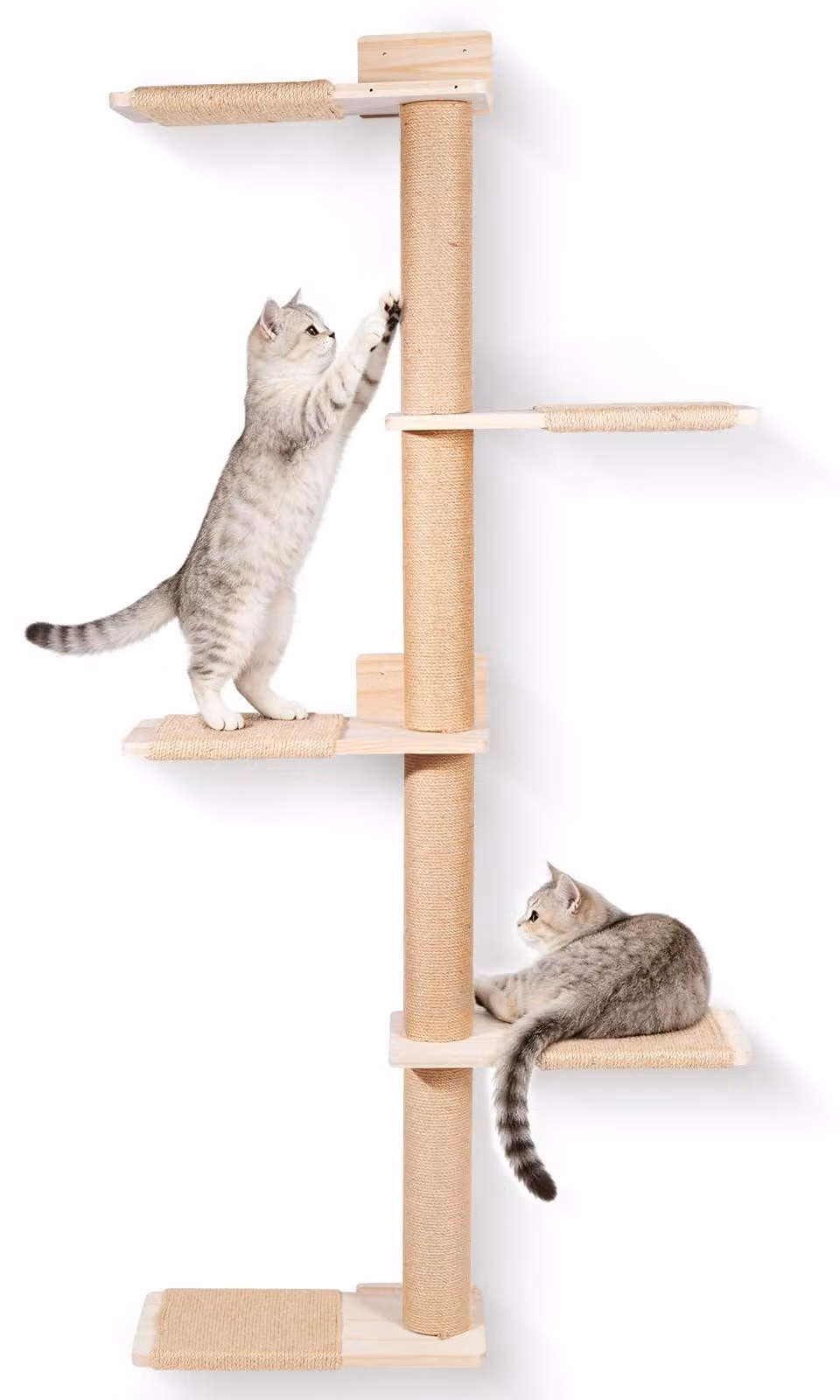 Albero per gatti da montare a parete, alto, salvaspazio, confezione singola, ideale per gatti attivi