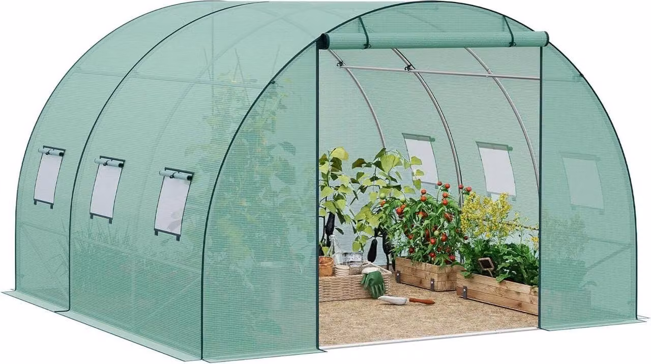 Serra invernale in plastica con porta e 6 finestre | Verde | 300x300x200 cm