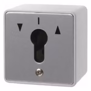 Berker 4447 Interruttore a chiave cieco Ap per profilo mezzo cilindro pressofuso IP44