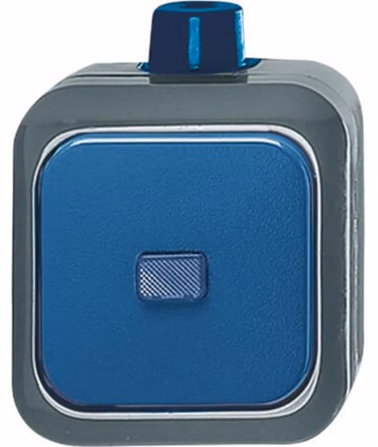 Commutatore Busch-Jaeger AP 2601/6 WDI