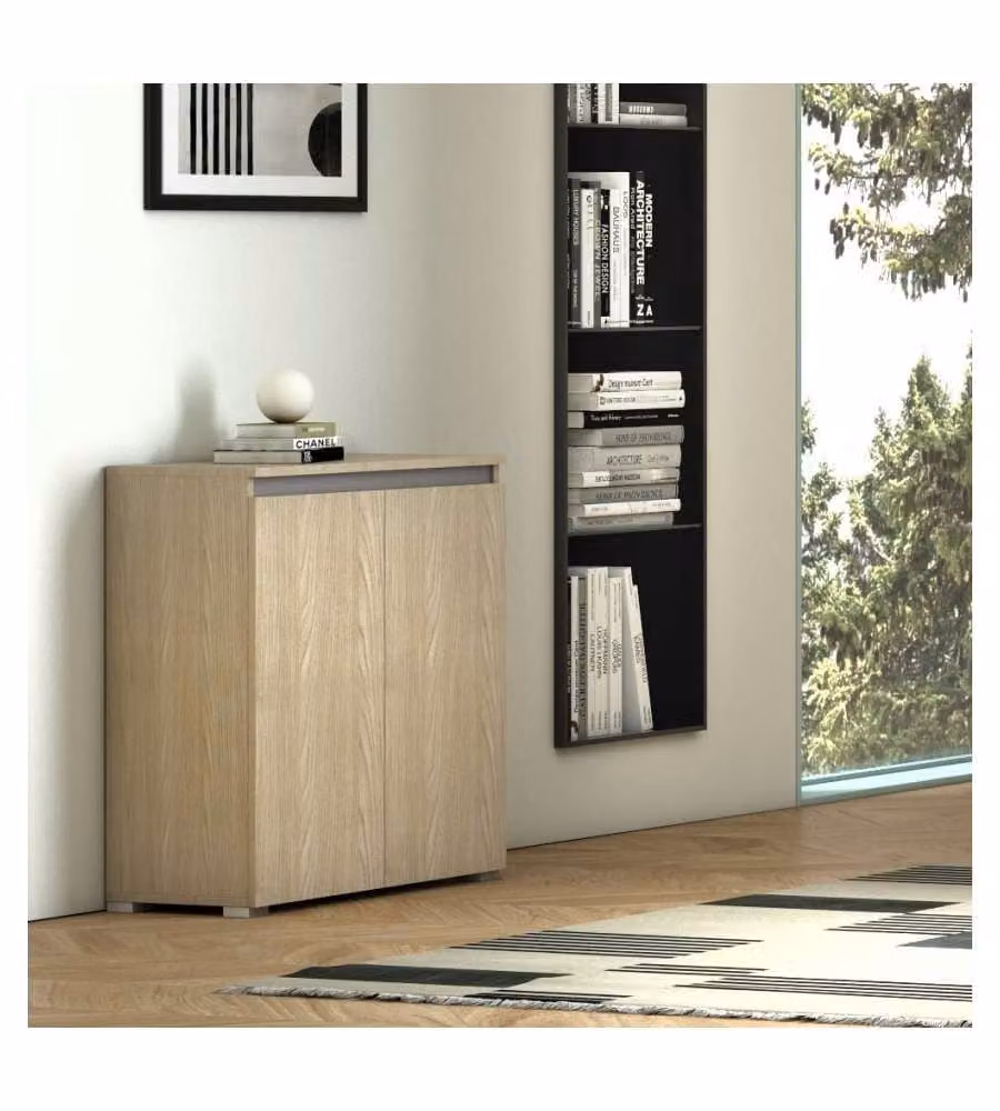 Terraneo Mobile Multiuso Moderno in Legno Olmo con 2 Ante e Ripiani Interni, L 80 cm x P 37 cm x H 102 cm