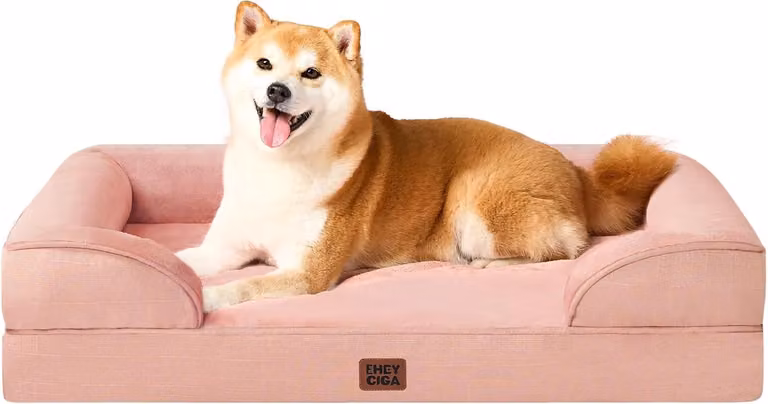 Cuccia per cani EHEYCIGA: cuccia ortopedica per cani di piccola taglia, cuccia in memory foam per cani di taglia media, divano per cani lavabile, impermeabile, confortevole