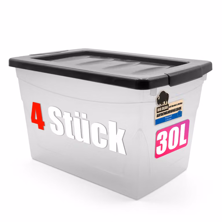 BigDean 4x 30 L scatola di stoccaggio con coperchio Budget Line scatola di plastica con coperchio Scatole di stoccaggio