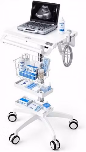VEVOR Carrello Medico Altezza Regolabile con Portata Max di 30 kg a 5 Ruote, Sollevamento Pneumatico, Ideale per Cliniche Ospedali e Laboratori, con 2 Vassoi Portaoggetti e 1 Cestino, Supporto Stabile