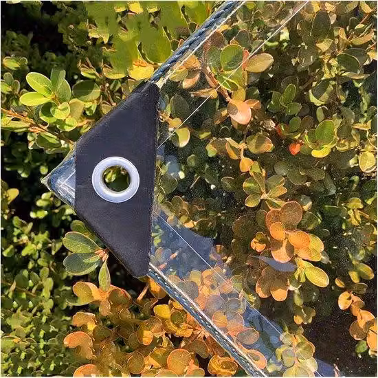 Pellicola protettiva in PVC trasparente e impermeabile, con fori, spessore 0,3 mm, multifunzionale, per auto, campeggio, mobili da giardino, con corda e fascette, 420 g/m², 2 x 2 m