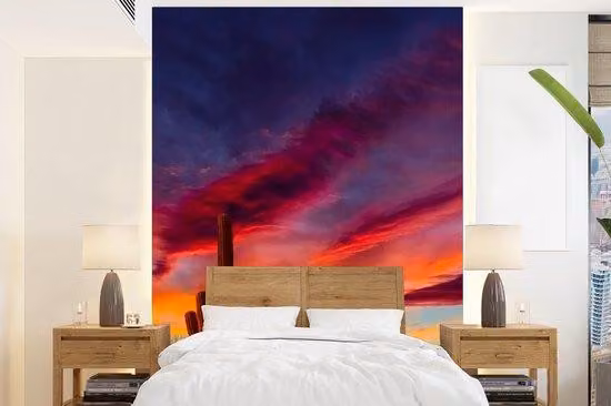 Pannello decorativo - Motivo: cactus - Scena: tramonto - Colori: blu e viola - Dimensioni: 160 cm di larghezza x 220 cm di altezza