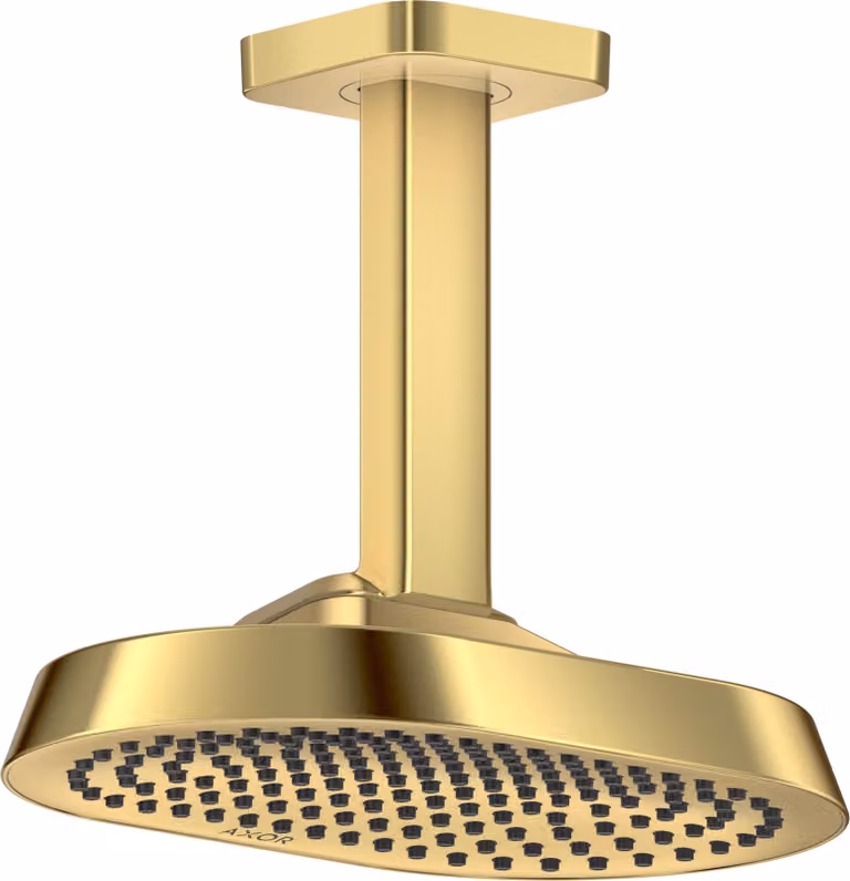 hansgrohe AXOR ShowerSphere Douche de tête 250/160 1jet EcoSmart avec raccordement au plafond, 39764990, 39764990