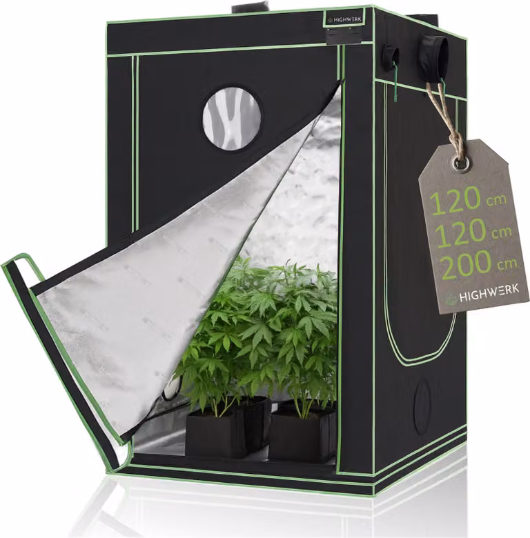 HIGHWERK tenda per coltivazione 120 x 120 x 200 cm, tenda per coltivazione indoor, nero verde, homegrow, armadio per coltivazione, tenda per piante