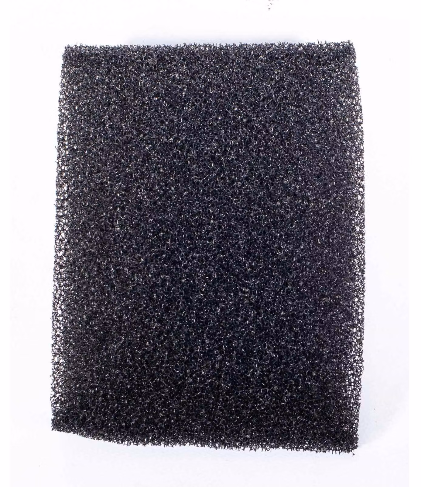 Filtro a schiuma Scheppach per aspirapolvere a secco e a umido ASP30Plus