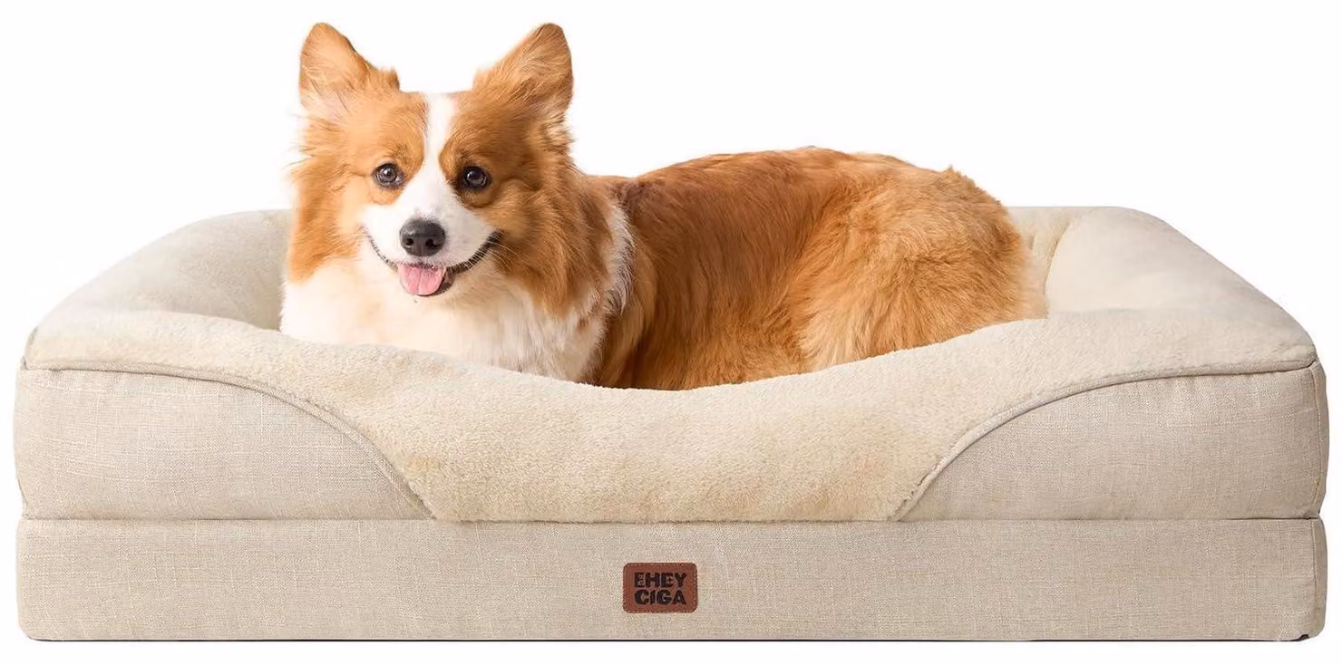 Cuccia ortopedica per cani con 4 bordi, dimensioni 89x56 cm, colore beige