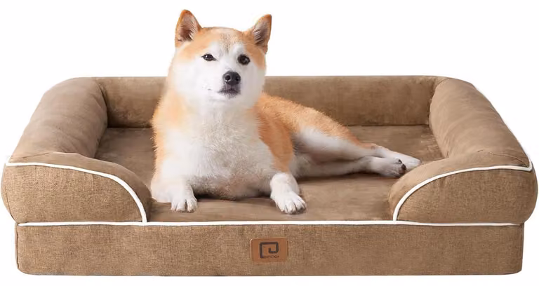 Cuccia ortopedica per cani, 91x68 cm, realizzata in memory foam, con bordo rialzato, lavabile, impermeabile, antiscivolo, marca "Kamel"