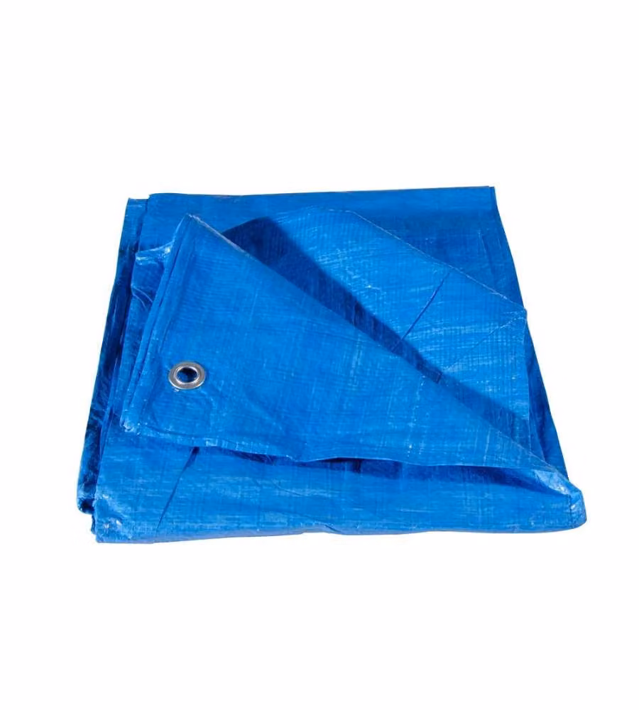 Verdelook Telo Occhiellato Multiuso - Blu o Verde - 3x5 m